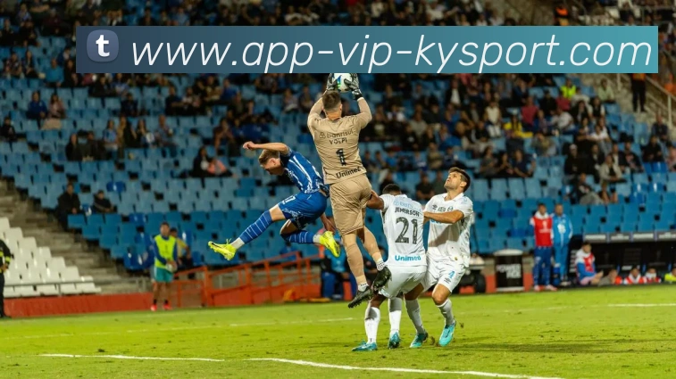 开云app平台生态图